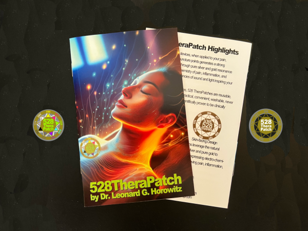 528 Thera Patches (2-Pack)